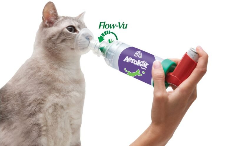 Aerokat Website – Better Living for Cats with Aerosol Chamber Inhaler